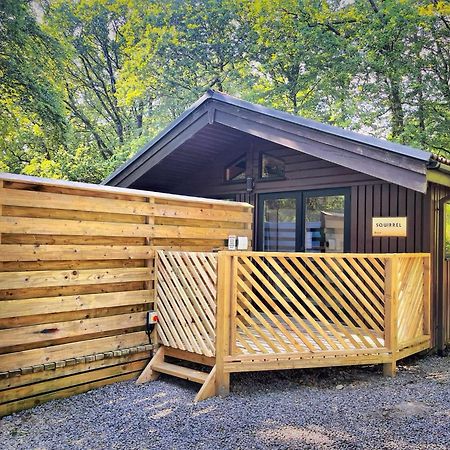 The Squirrel Lodge - Hot Tub - Pet Friendly - Pembrokeshire-Tenby Carmarthen Esterno foto